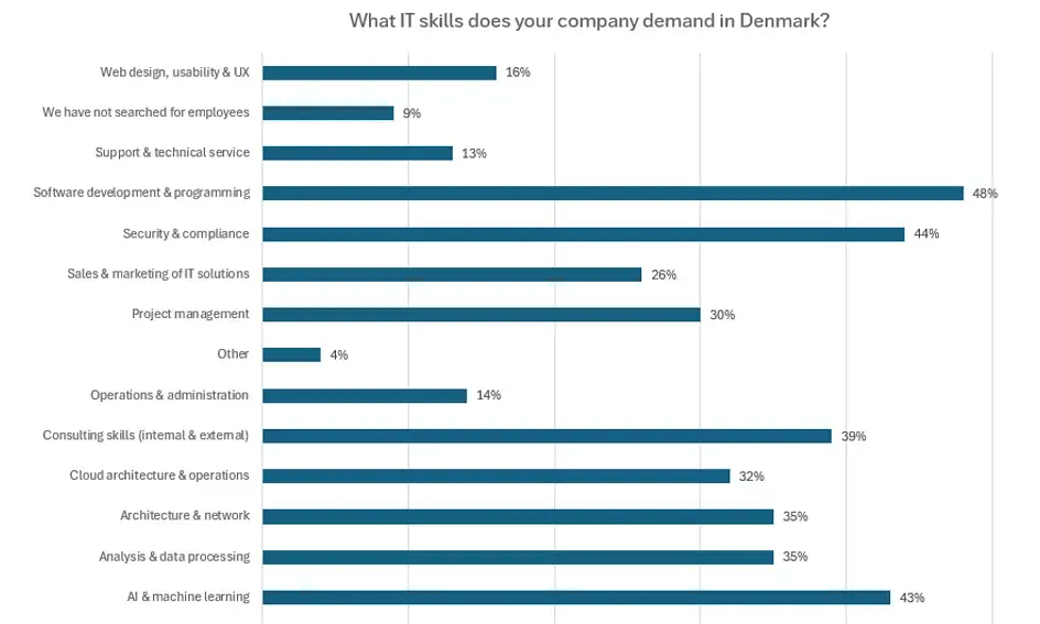 IT Barometer 2025 - skills