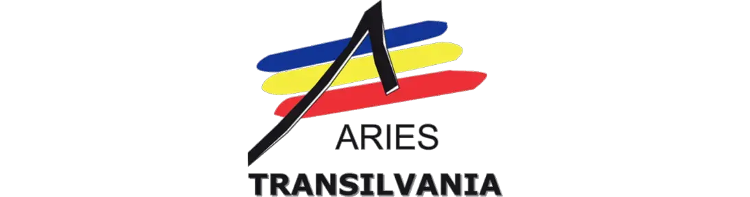 Aries - Digital innovation in Romania